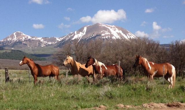 Mount Peale Country Inn La Sal 外观 照片