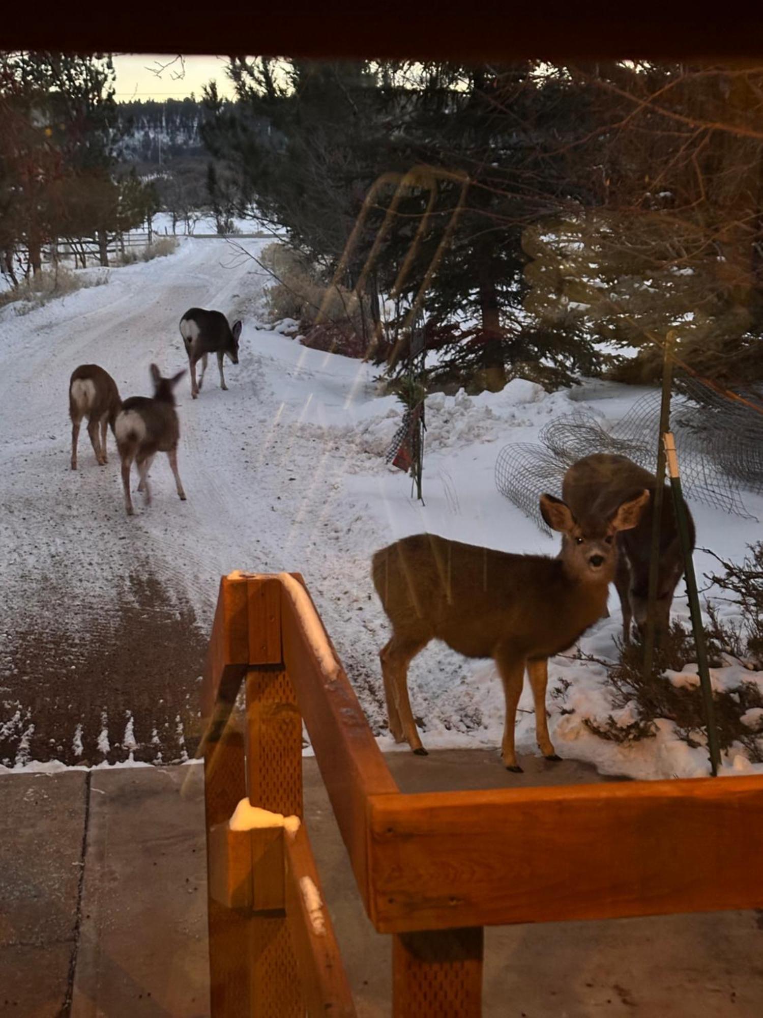 Mount Peale Country Inn La Sal 外观 照片