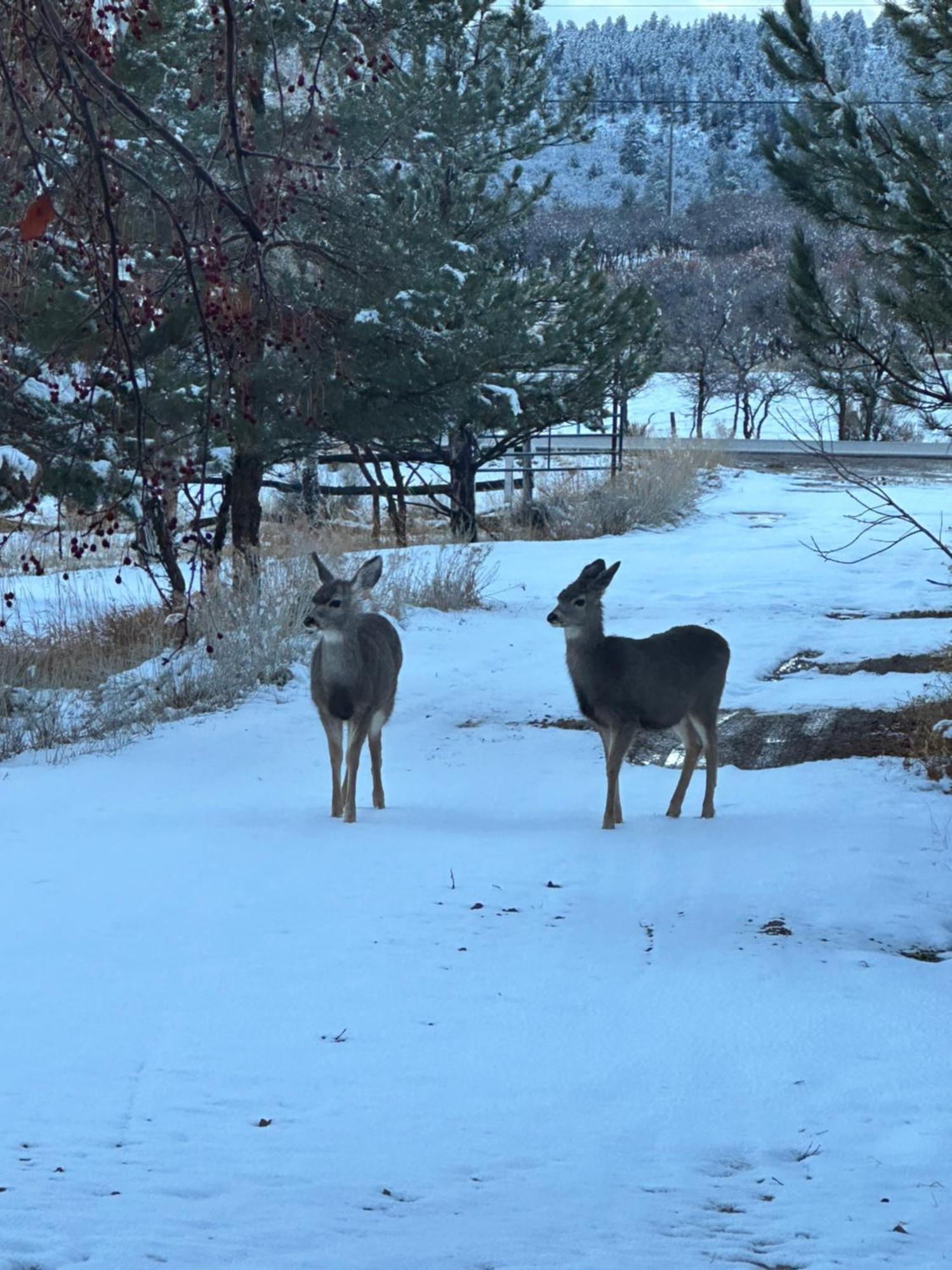 Mount Peale Country Inn La Sal 外观 照片